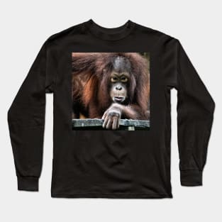 You Looking At Me?? Orangutan, Sepilok, Borneo Long Sleeve T-Shirt